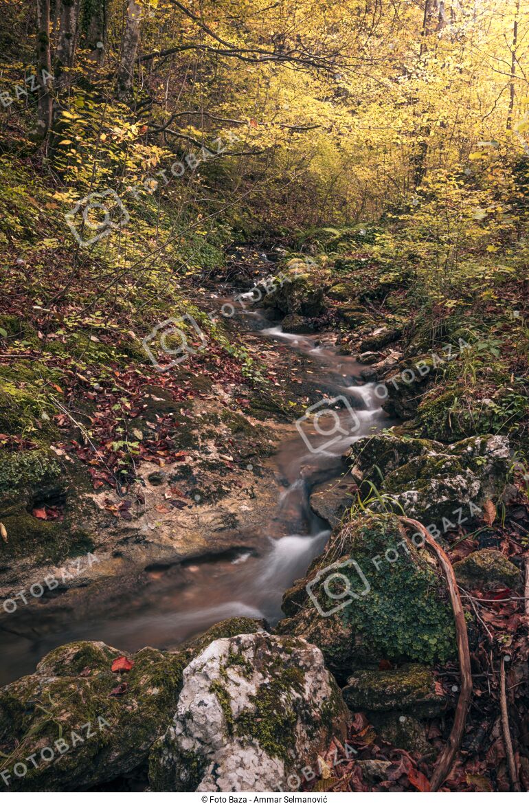 Planina Plješevica preuzmite fotografiju Foto Baza