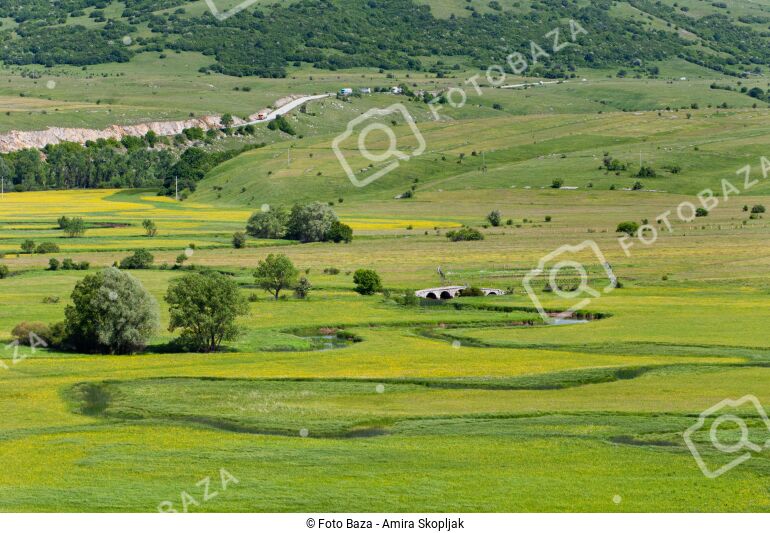 Šujica - preuzmite fotografiju | Foto Baza