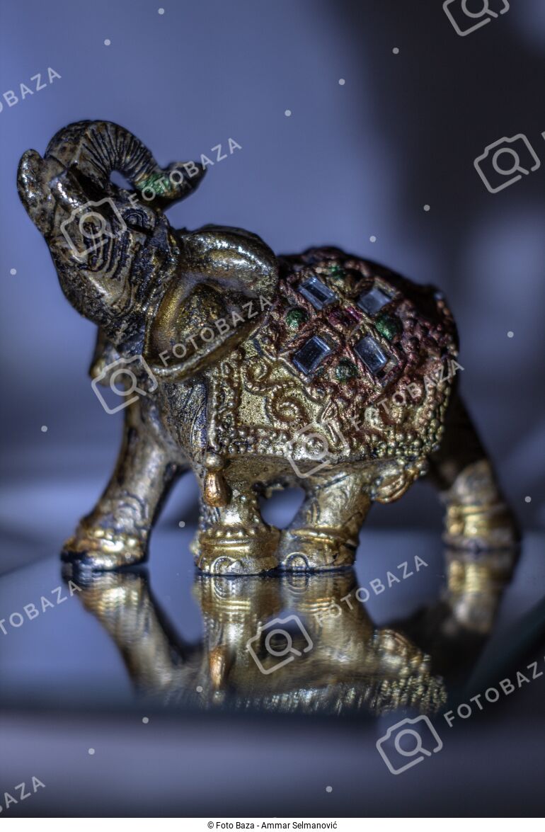 Figura slona - preuzmite fotografiju | Foto Baza