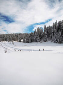 Staza za skijaško trčanje pod snijegom na Igmanu.