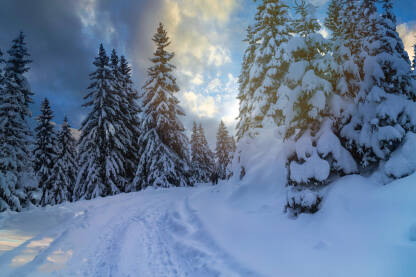 Put prekriven snijegom Vlasic