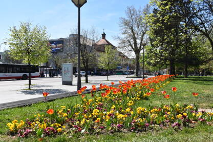 Trg Krajine u Banjoj Luci i red tulipana u parku Petar Kočić