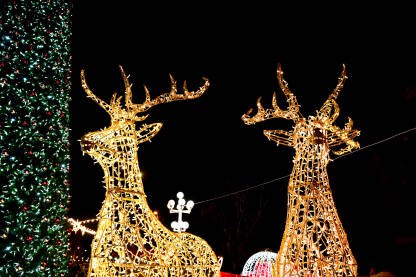 Ukrašena božićna jelka i osvijetljeni sobovi u sankama Djeda Mraza. Ukrašena jelka u centru grada noću. Šareni novogodišnji ukrasi.