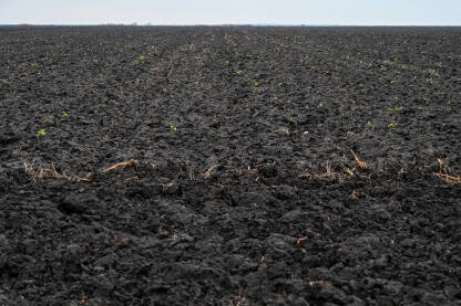 Svježe uzorano polje spremno za sjetvu i sadnju. Prazna oranica pribada zima. Crno tlo.
