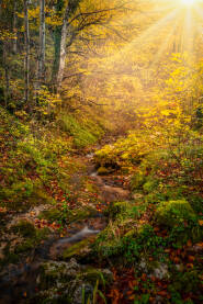 Zavalje ispod Plješevice sa potokom i drvećem u jesenjim bojama