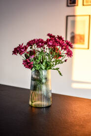Cvijeće u vazi. Margarete u vazi.