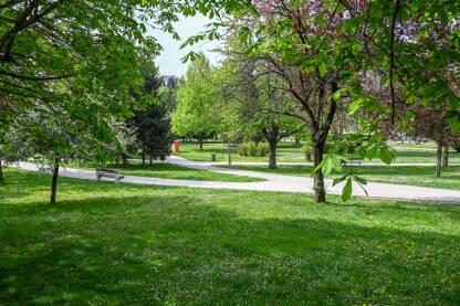 Zelena trava i drveće u proljeće. Park Kemal Monteno u gradu Sarajevu. Zeleno rastinje.
