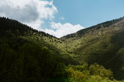 Obronci planine Igman, pogled sa Ilidže
