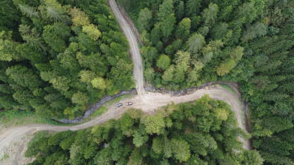 Panorame šumskih predjela.