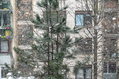 Snijeg pada zimi u gradu. Pogled kroz prozor. Pahuljice u zraku.