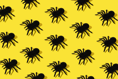 Crni pauci na žutoj pozadini. Arahnofobija. Strah od pauka.