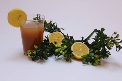 Prirodni sok i plod limuna u zelenim bobicama