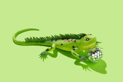 Igračka iguana gušter s disko kuglom na zelenoj pozadini.