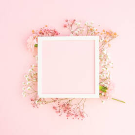 Kreativni dizajn čestitke ili pozivnice sa cvijećem karanfila i gipsofile na svijetloj pastelnoj pink podlozi i praznim prostorom u sredini.
