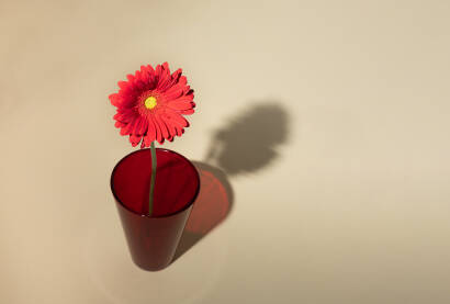 Cvijet gerbera u vazni na podlozi bež boje sa praznim prostorom