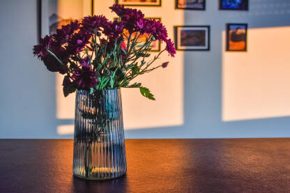 Cvijeće u vazi. Margerete u vazi.