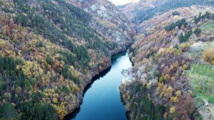 Panorame šumskih predjela.