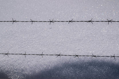 Bodljikava žica na snijegu