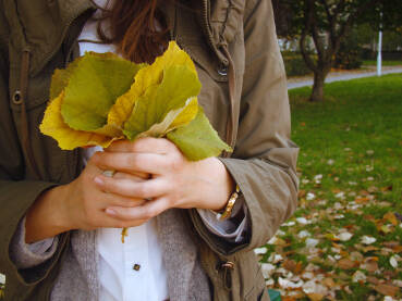 Ruke djevojke u parku koja drži suho lišće koje je opalo.