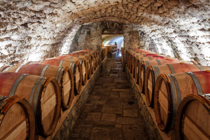 Kameni vinski podrum sa redovima hrastove buradi.