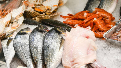 Svježa riba za prodaju na pijaci. Sirova riba, lignje, škampi i školjke