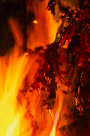 Nalaganje badnjaka je pravoslavni običaj gde se hrastovo ili cerovo drvo unosi u dom i stavlja na ognjište. Ovaj simboličan čin povezuje duhovnost s prirodom i svetlošću.