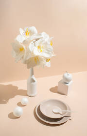 Bijelo cvijeće, jabuka i tanjuri na pastelnoj pozadini. Umjetnički koncept.