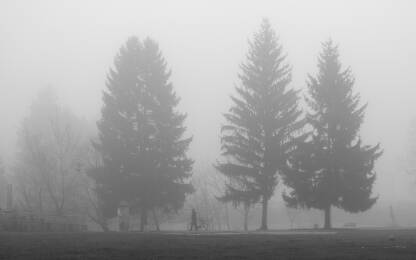 kretanje ljudi kroz maglu