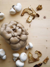 Razne sorte gljiva na stolu.
