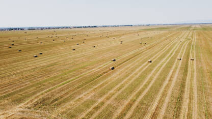 Bale sijena u polju, snimak dronom. Bale sa slamom na poljoprivrednom polju nakon žetve.