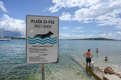 Plaža za pse na moru. Znak sa instrukcijama na plaži. Znak: Plaža za pse uz more. Čovjek sa psom u vodi.
