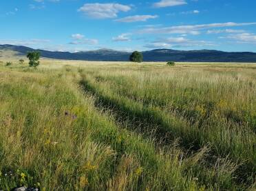 Idilični prizor polja, kroz koji protiče potočić sakriven u travi, dok se u daljini nazire planina