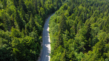 Asfaltni put kroz šumu, snimak dronom. Planina Bjelašnica.