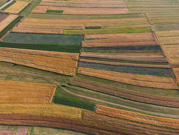 Polja zasijana žitom tokom ljeta, snimak dronom.