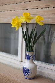 Bela vazna sa plavim detaljima u kojoj su tri cveta narcisa zute boje, na prozoru kuce