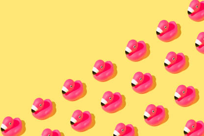 Ljetna pozadina s ruzicastim gumenim flamigo pticama na žutoj pozadini.