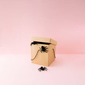 Smeđa kartonska kutija / paket za dostavu iz koje izlaze crni pauci.
