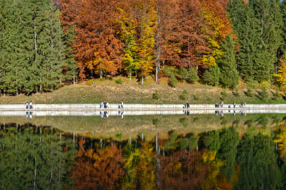 Jesen na jezeru Balkana pored Mrkonjić grada, Republika Srpska, Bosna i Hercegovina. Sve boje jeseni u prirodi. Ljudi šetaju pored jezera tokom lijepog jesenjeg dana.