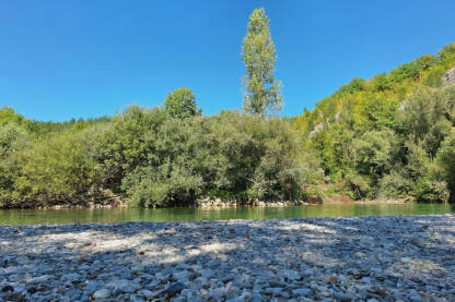 Neretva sa bistrom vodom. Obala prekrivena vrbama i vitkom jasikom u plavom nebu. Šljunčana obala rijeke.