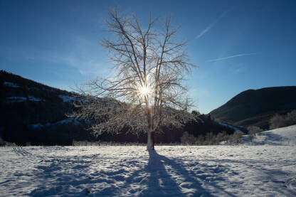 Sunčano jutro na selu