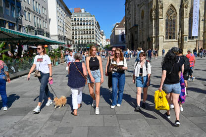 Beč, Austrija: Grupa turista istražuje grad. Centralni gradski trg.