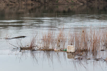 Plastični otpad na površini rijeke Save kod Broda