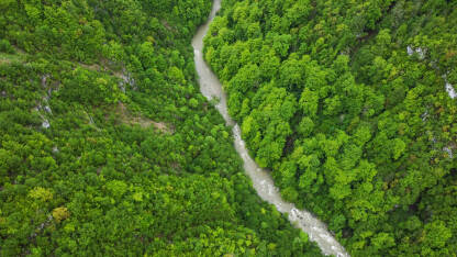 Šuma na planini. Kanjon rijeke Ugar na Vlašiću, snimak dronom.