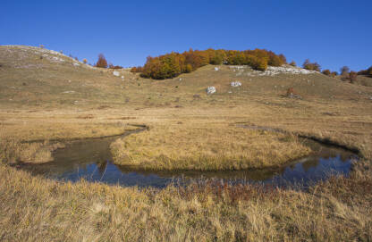 studeni potok, priča o potoku koji vijuga dolinom i ulijeva se u rijeku Rakitnicu, klasični planinski pejsaž