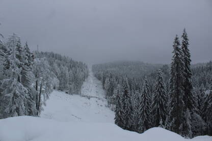 Na Fotografiji se nalazi jedna od skijaških staza na Jahorini sa zimzelenom šumom prekrivenom snijegom