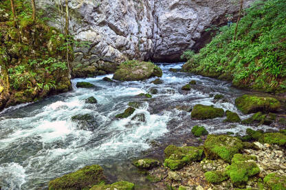 Izvor rijeke u prirodi. Rijeka Sana, Bosna i Hercegovina.
