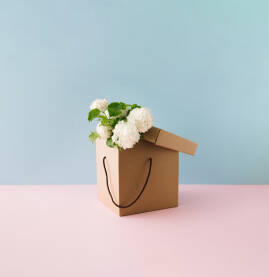 Bijelo cvijeće u smeđoj kartonskoj kutiji / paketu za poklon na plavoj i ružičastoj pozadini.