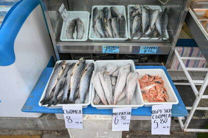 Svježa riba na prodaju na pijaci. Štand sa morskom ribom.