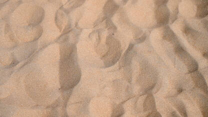 Sitni pijesak na plaži. Pješčana obala. Zrnca pijeska.