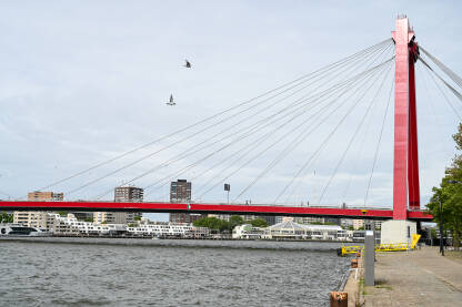 Crveni kablovski most u Roterdamu, Nizozemska. Most Willemsbrug u Roterdamu, Holandija. Moderna arhitektura i gradski pejzaž. Landmark.